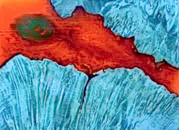 Portakal Kabuğu Epoksi Zemin Kaplama